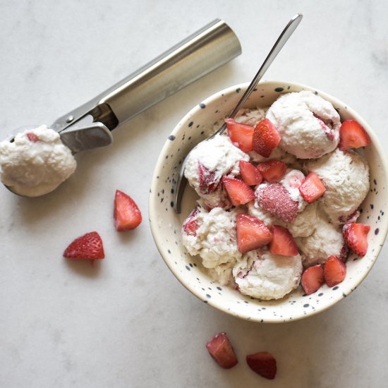 Coconut Milk Strawberry Ice Cream