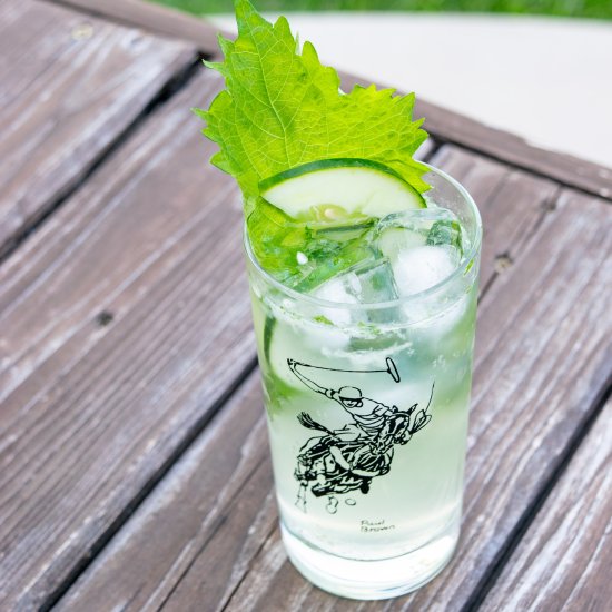 Shiso Gin and Tonic