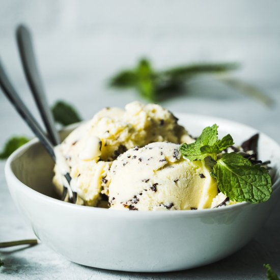 Mint Chocolate Chip Ice Cream