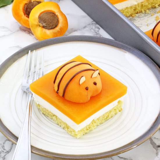 APRICOT BEE CAKE