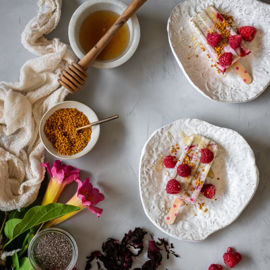 Raspberry Hibiscus Chia Popsicles