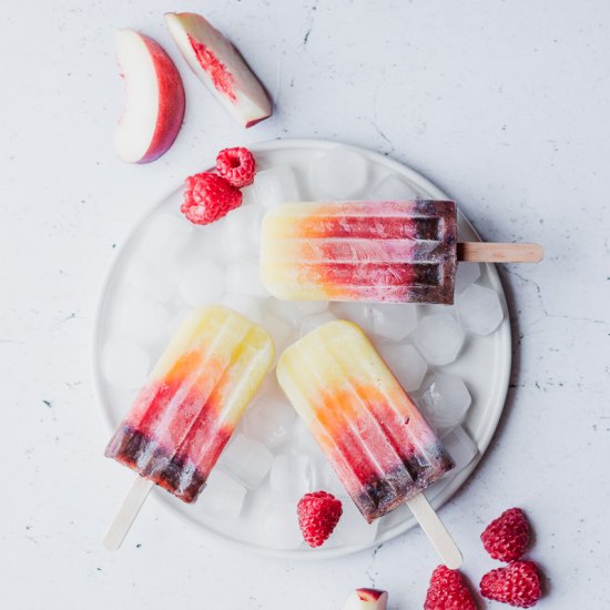 Degrade fruit sugar free popsicles