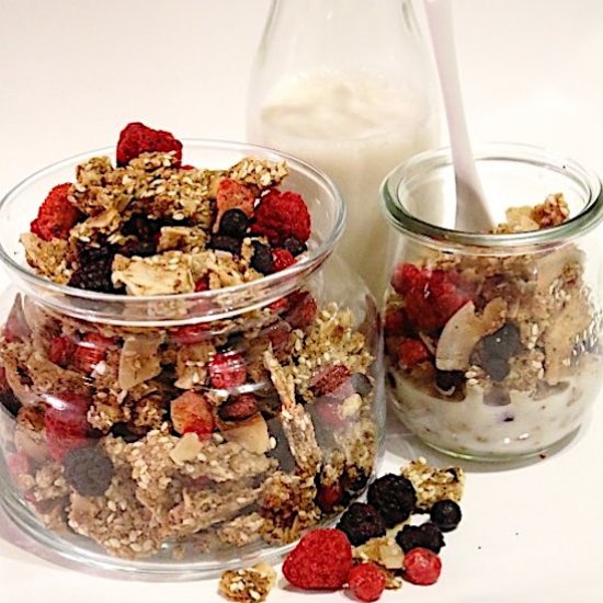 Low Carb Granola