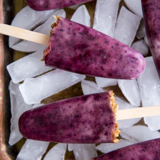 blueberry popsicles