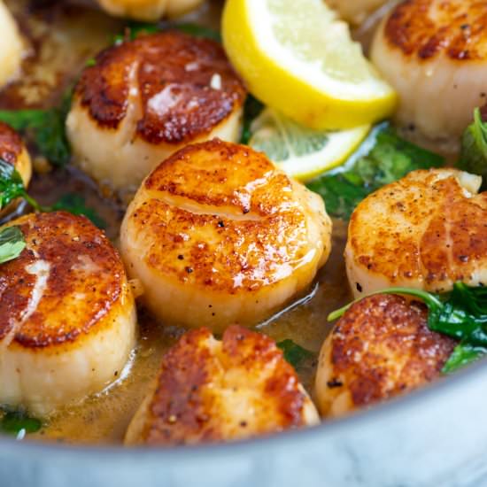 Seared Scallops with Garlic & Basil