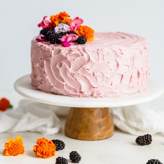 Best Chocolate Cake Blackberry