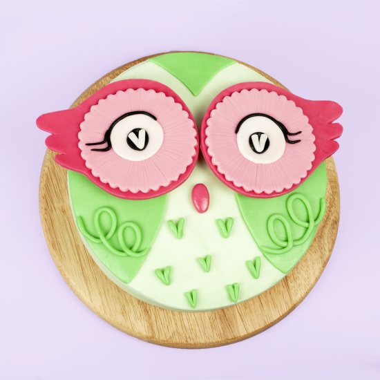 Cute DIY Owl Cake