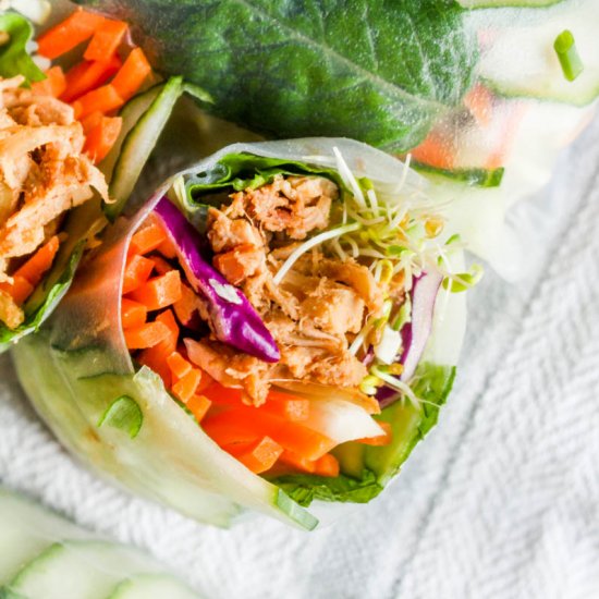 Peanut Sauce Jackfruit Summer Rolls