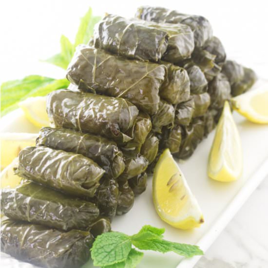 Greek stuffed grape leaves