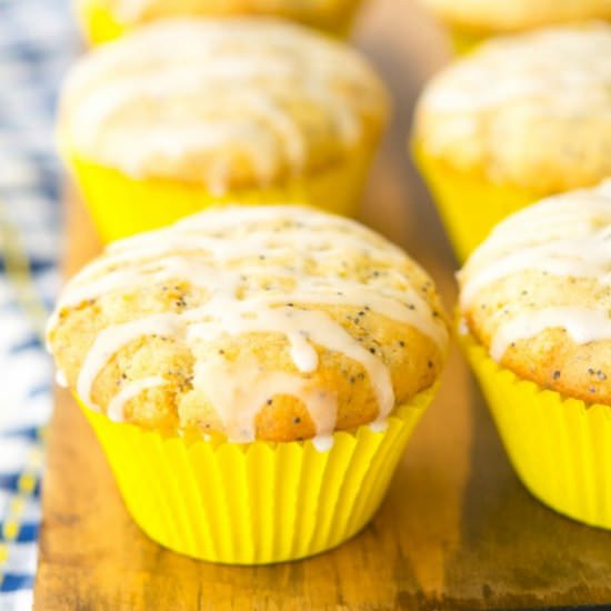 Lemon Poppy Seed Muffin