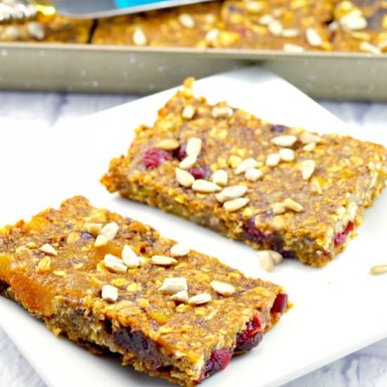 Vegan Fruit & Oatmeal Bars