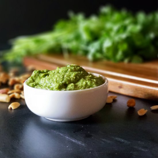 Cilantro & Peanut Pesto