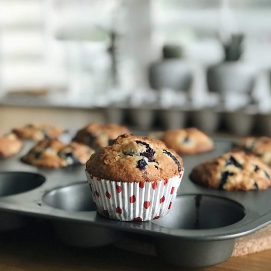 Buttermilk Blueberry Muffins