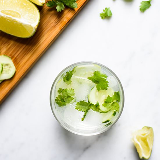 Cilantro Cucumber Gin & Tonic