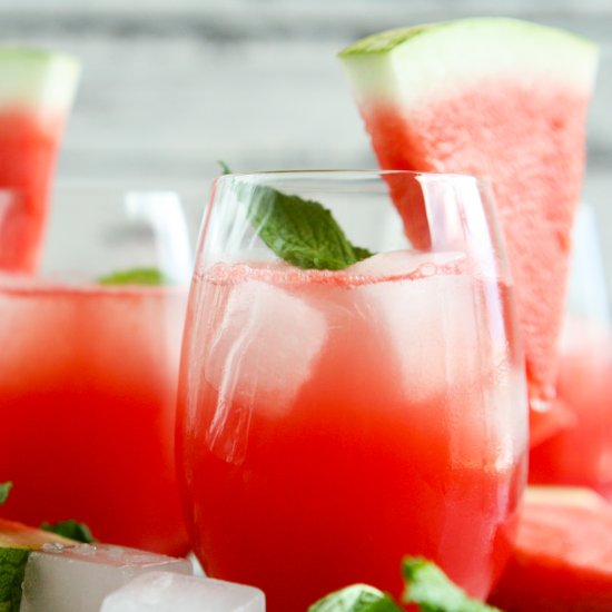 Watermelon Shrub Vodka Spritzer