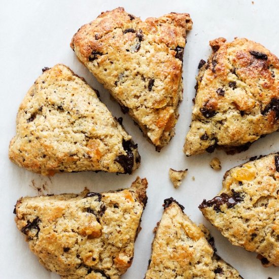 Chocolate Apricot + Cinnamon Scones