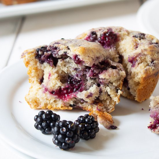 Blackberry Muffins