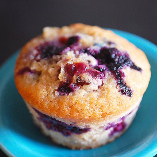 Chocolate milk blueberry muffins