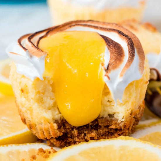 Mini Lemon Meringue Cheesecakes