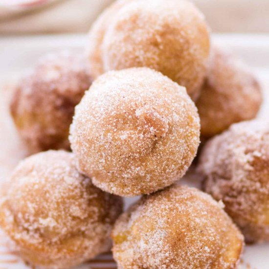 Cinnamon Sugar Pumpkin Donut Holes