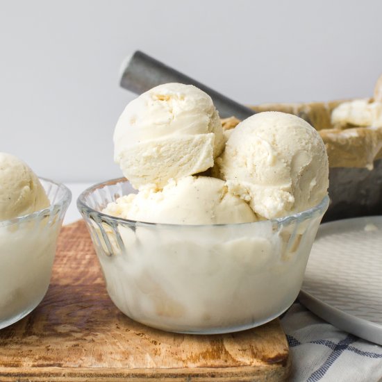 French Vanilla Bean Ice Cream