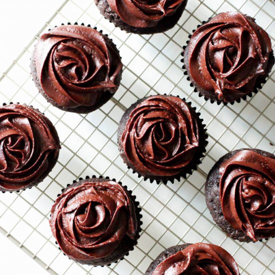 chocolate cupcakes