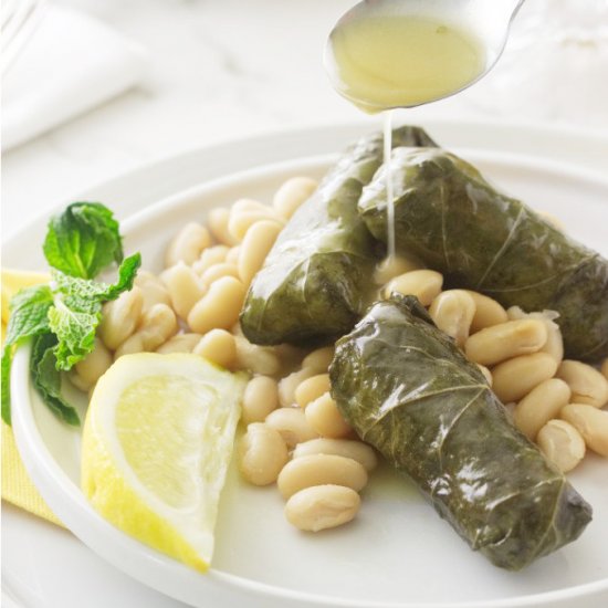 Greek dolmades with beans