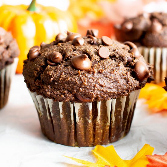 Moist GF Chocolate Pumpkin Muffins