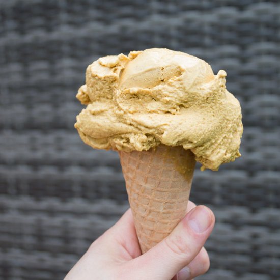 Pumpkin Cinnamon Ice Cream