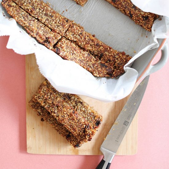 Amaranth Power Bars with Hemp Seeds