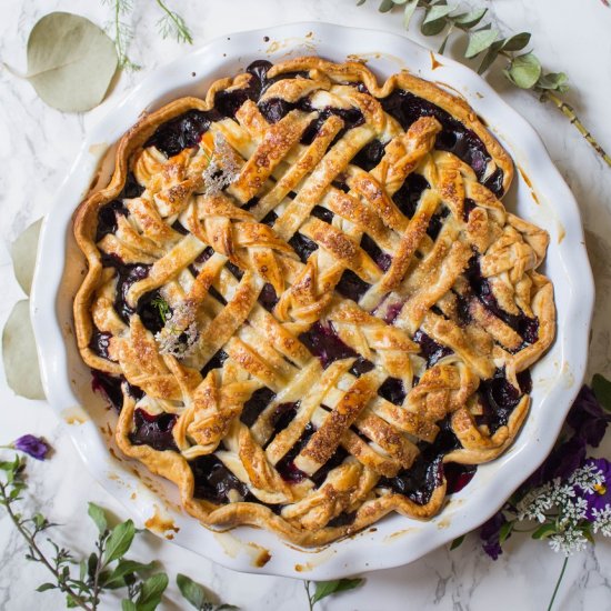 Blueberry Pie