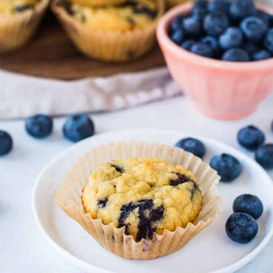 Coconut Flour Blueberry Muffins