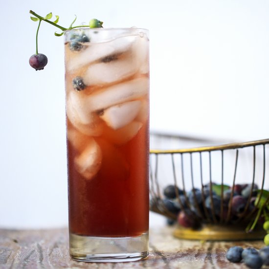 Spiked Blueberry Switchel Spritzer