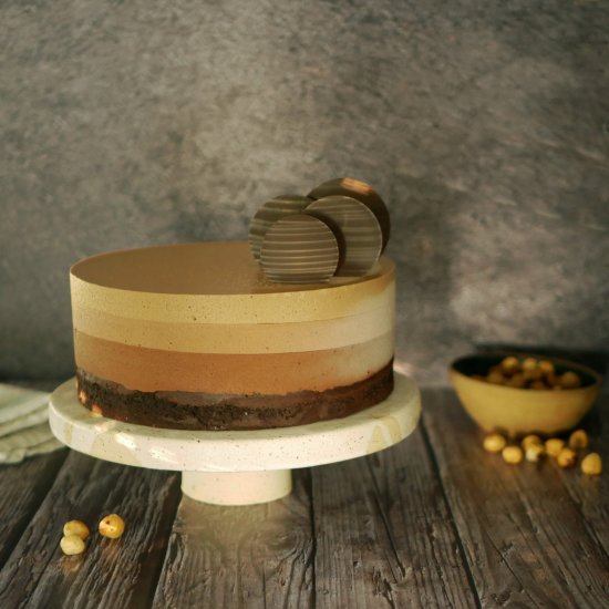 Coffee Gianduja Chocolate Mousse Cake