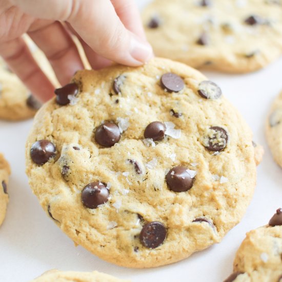 Chewy VEGAN Sea Salt Chocolate Chip