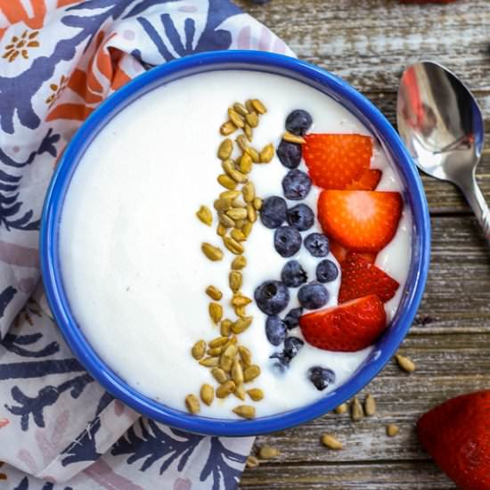 Dairy Free Instant Pot Yogurt