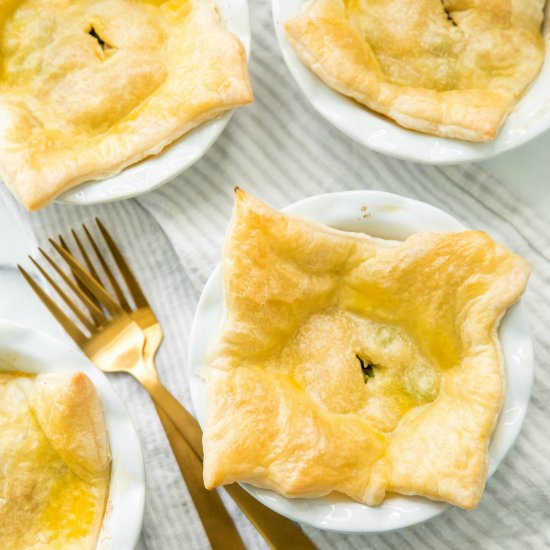 Rotisserie Chicken Pot Pie