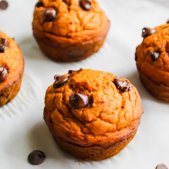 Pumpkin Chocolate Chip Muffins