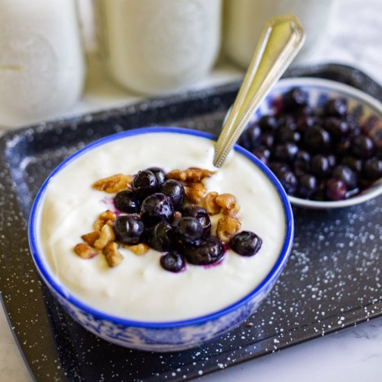 Instant Pot Greek Yogurt