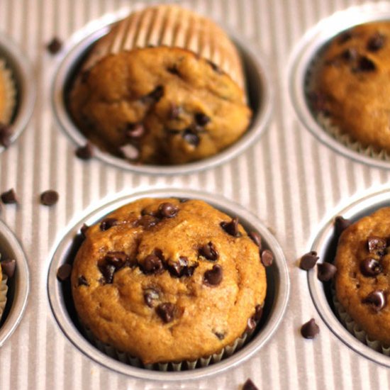 Pumpkin Chocolate Chip Muffins