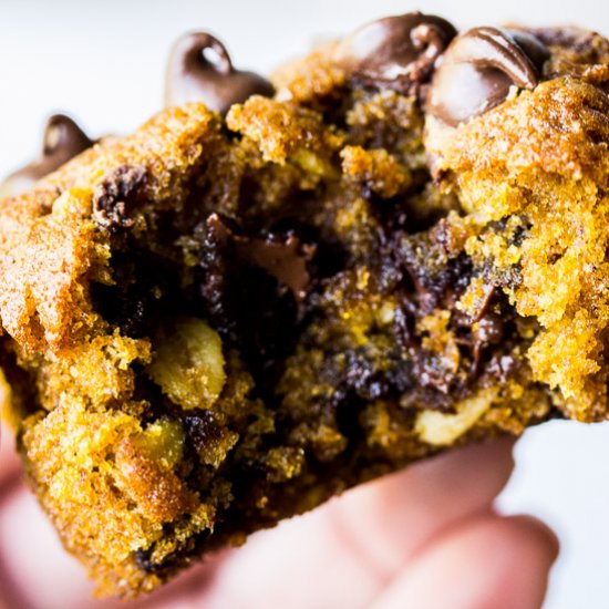 Pumpkin Chocolate Chip Muffins