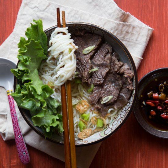 Beef shank noodle soup