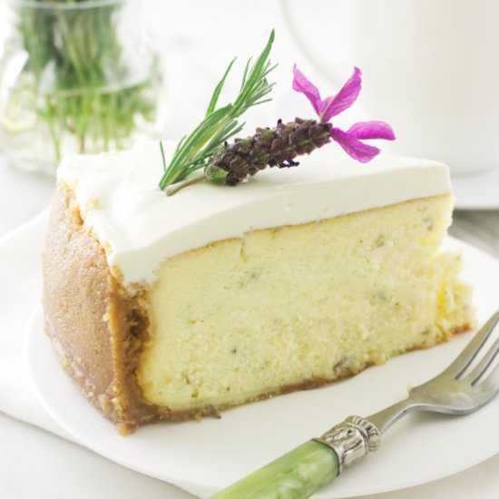 lavender cheesecake