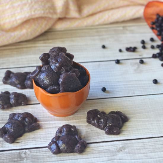 Homemade Berry Gummies