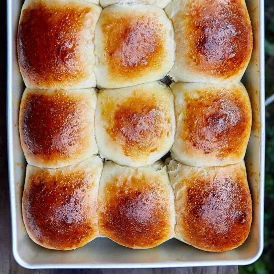 Rustic Yeast Rolls