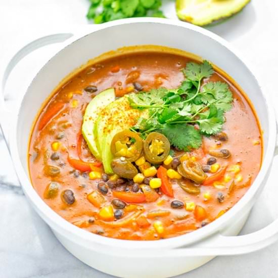 Spicy Garlic Enchilada Soup