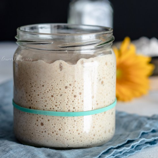 How To Grow Sourdough Starter