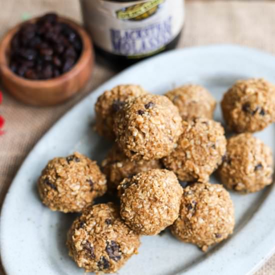 Oatmeal Cinnamon Raisin Energy Ball