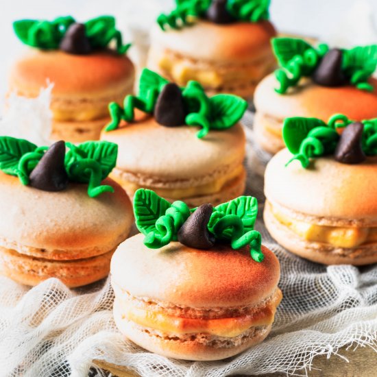 Pumpkin Macarons