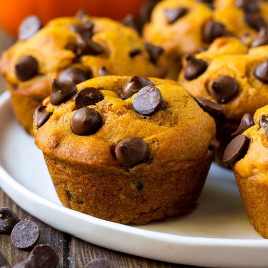 Pumpkin Chocolate Chip Muffins